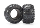 Tires, Canyon AT 2.2" (2)/foam insert
