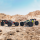 Monstertruck KRATON BLX 8S 1:5 4WD RTR grün/schwarz