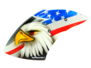 Airbrush Fiberglass Eagle Head Canopy - MCPXBL