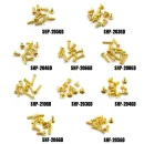 Schrauben Set M2 Rostfreier Stahl HEX 100Stk. Gold